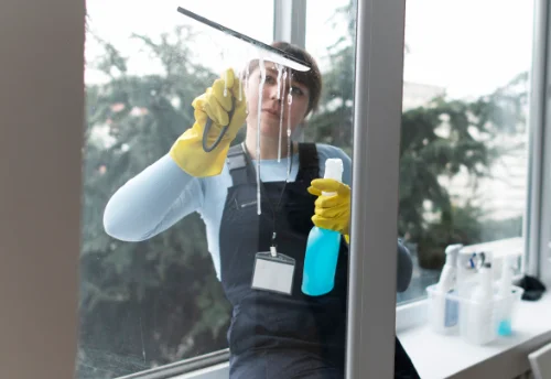 Nettoyage de vitres intérieures et extérieures à Dolus-le-Sec
